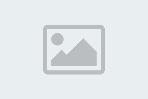 عکس گرگ سفید در برف